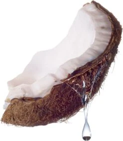 Maybelline Total Temptation Waterproof Mascara - 001 Zwart 19 Maybelline Total Temptation Waterproof Mascara - 001 Zwart -Mode-Cosmetica Winkel 1051x1200 3