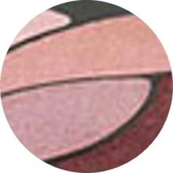 L’Oréal Paris Color Riche Les Ombres Quad - E6 Eau De Rose - Oogschaduw -Mode-Cosmetica Winkel 1200x1199 9