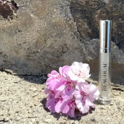 BEAUTICAL Instant Lip Plumper - Vollere Lippen - Lip Maximizer, Lipgloss, Lippenbalsem - Make-up Lippen, Beauty - Hydraterend, Plumping -Mode-Cosmetica Winkel 1200x1200 501