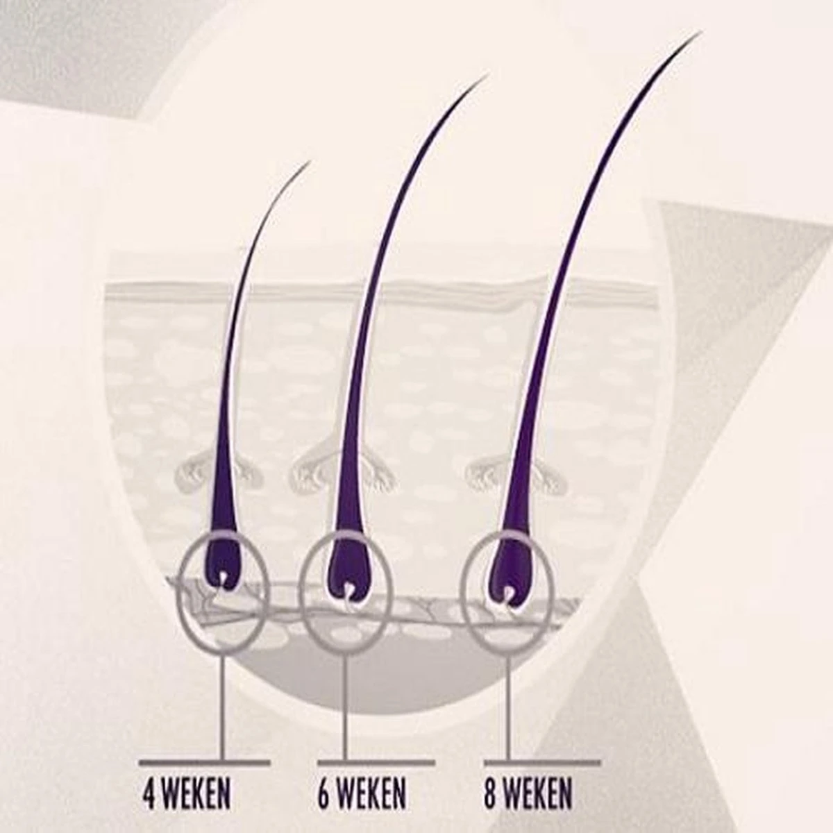 Rock&Rose Lash Serum - Wimper Serum - Inclusief Gratis Mascara 7 Rock&Rose Lash Serum - Wimper Serum - Inclusief Gratis Mascara - Afbeelding 5