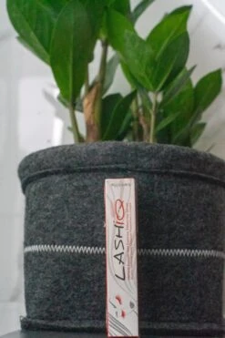 Wimperserum 5ml - Lash Lift - Eyelash - Wimperlifting - LashIQ- Wimper Serum- Wimperserum Groei -Mode-Cosmetica Winkel 799x1200 8